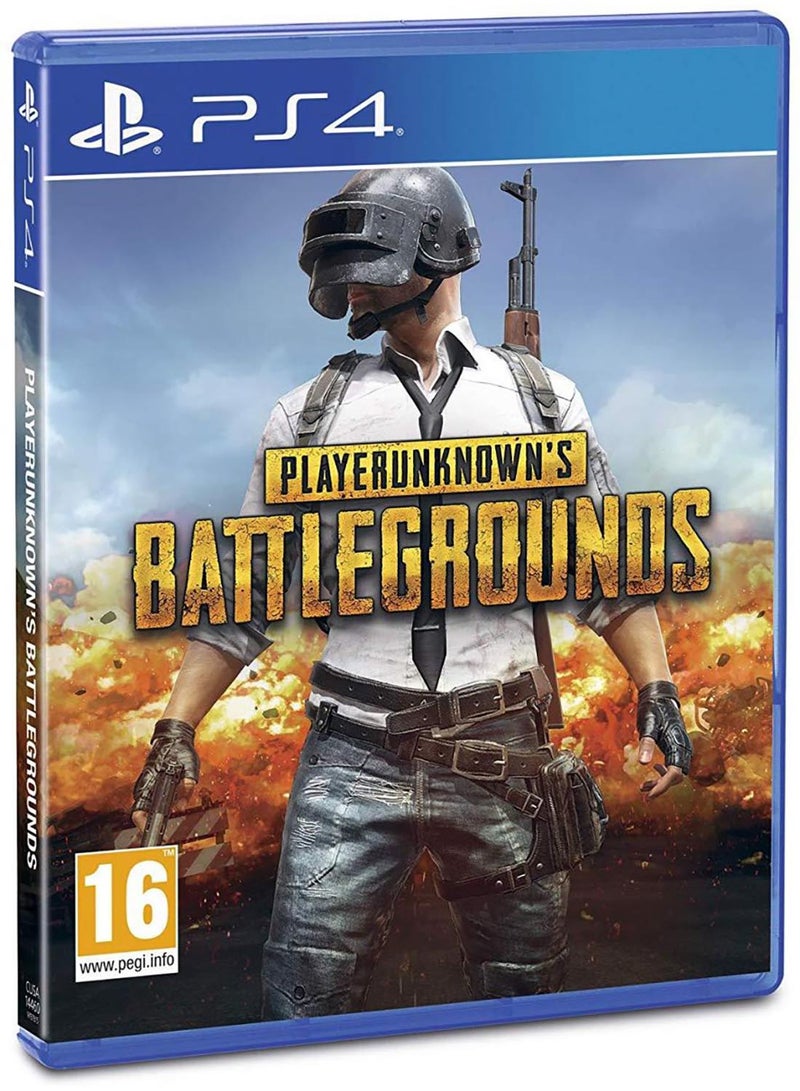 PUBG Corp - Pubg (Intl Version) - PlayStation 4 (PS4) - Image 1