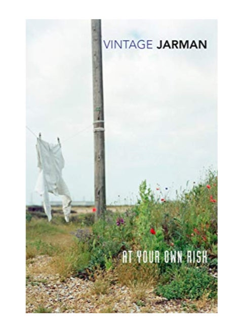 At Your Own Risk paperback english