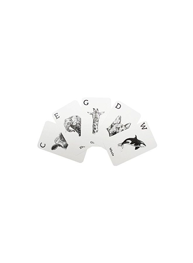 Octagon Studio - Animal And Food 4D Flashcard Set - Image 1