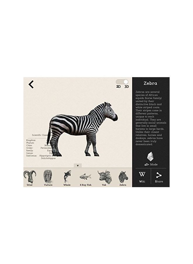 Octagon Studio - Animal And Food 4D Flashcard Set - Image 1