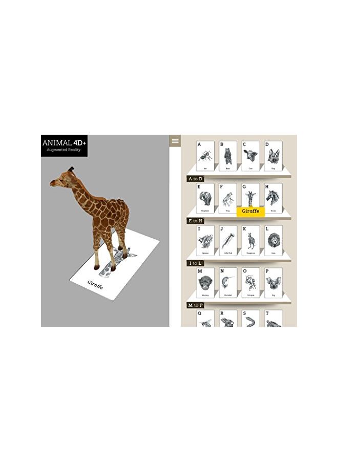 Octagon Studio - Animal And Food 4D Flashcard Set - Image 1