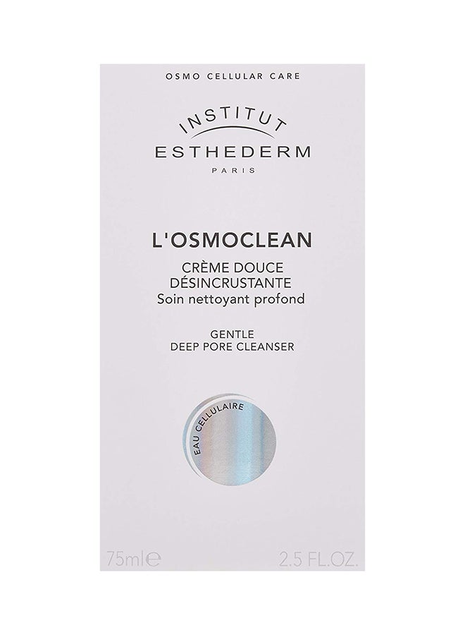 إنستيتوت إستيديرم منظف مسام عميق ولطيف 75ملليلتر - Image 2