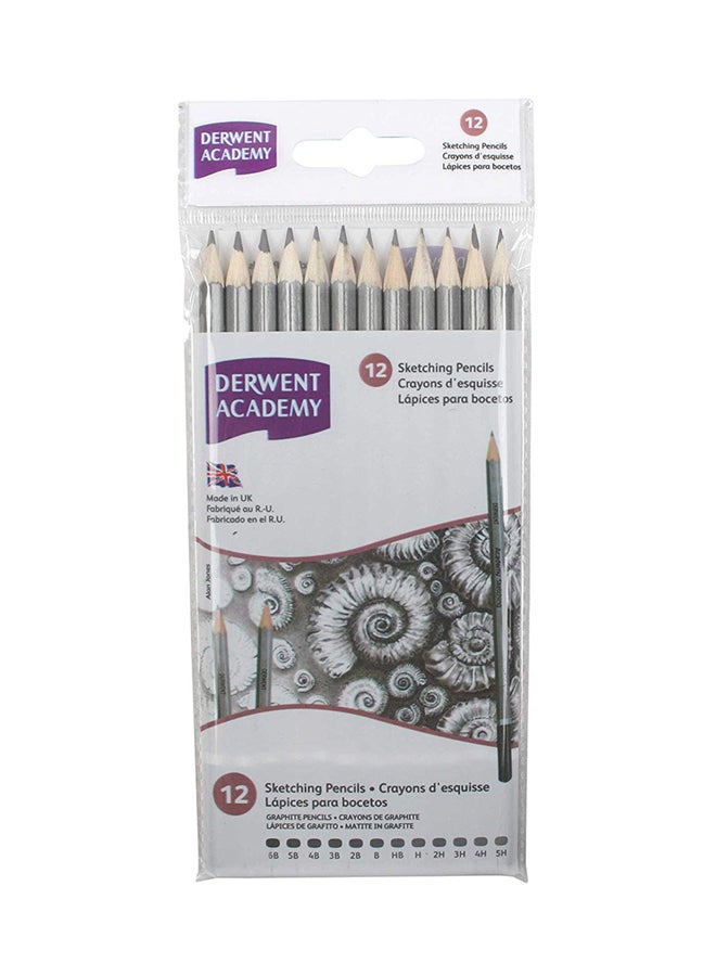 Set Of 12- Graphite Sketching Pencils Grey