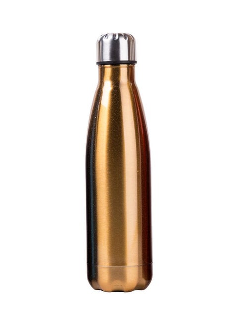 Insulated Stainless Steel Water Bottle