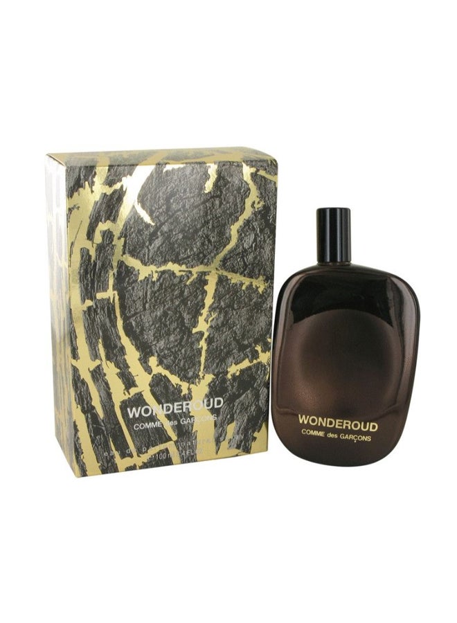 COMME DES GARCONS Wonderoud EDP 100ml - Image 1