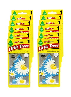 LITTLE TREES 12-Piece Card Air Freshener - Daisy Field Egypt | Cairo, Giza