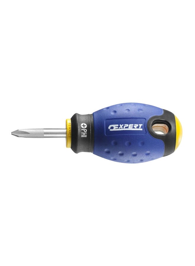 EXPERT Stubby Screwdriver, E165407, PH2x30mm Multicolour