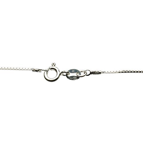 Joyful Creations Sterling Silver  Dolphin Charm Box Pendant Necklace - Image 1