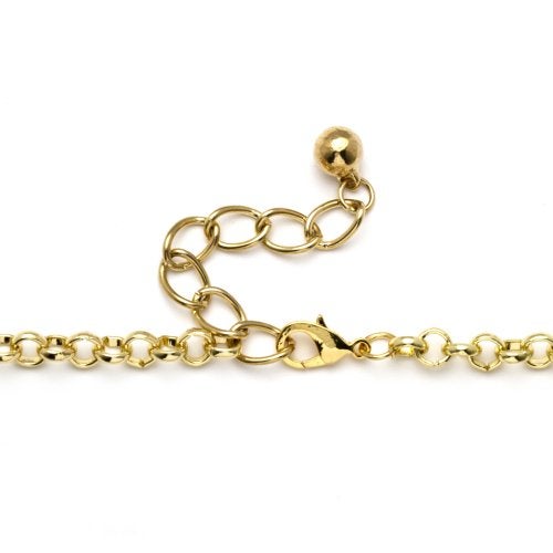 Palm Beach Jewelry Brass  Lucite Jewellery Set  - Image 1