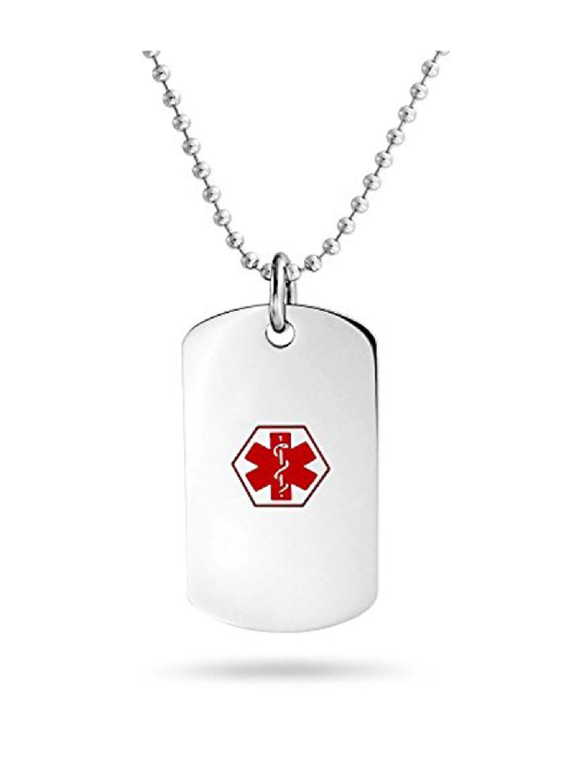 BLING JEWELRY - Stainless Steel Diabetic Medical Alert  Dog Tag Pendant  Necklace - Image 1