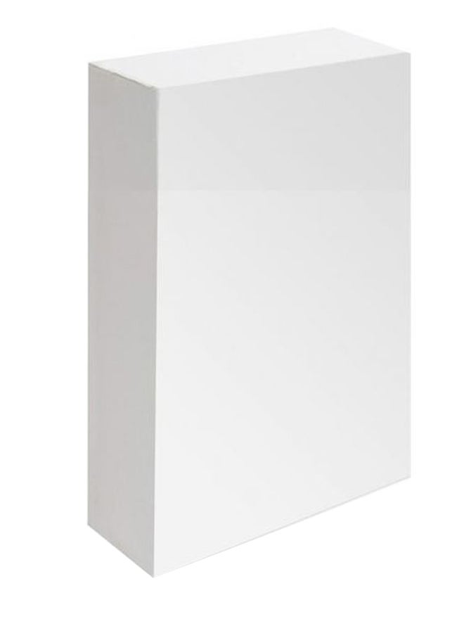 Phoenix 3D Artist Canvas White