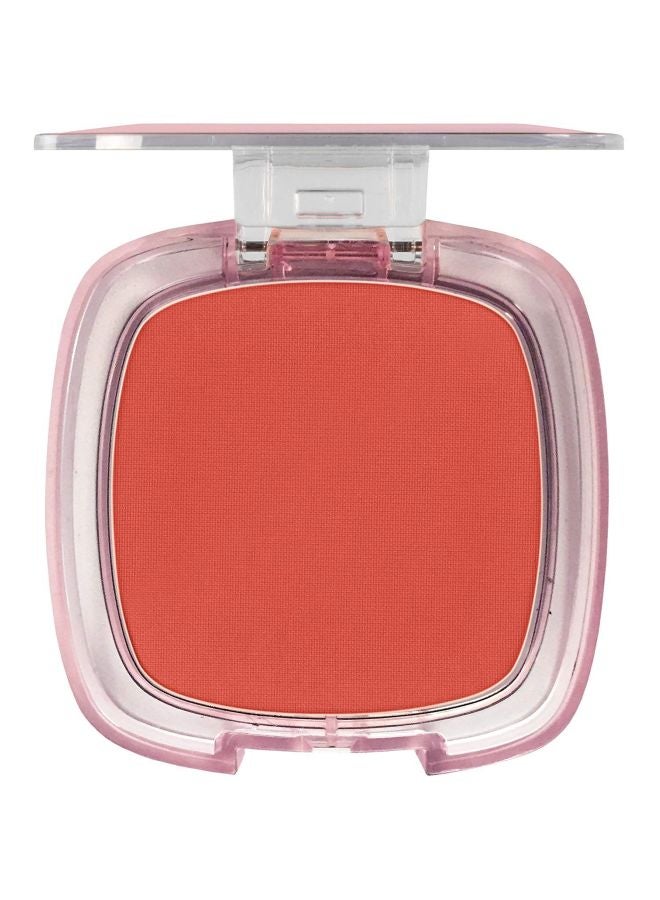 L'OREAL PARIS - Paradise Enchanted Fruit-Scented Blush Makeup Fantastical 191 - Image 1