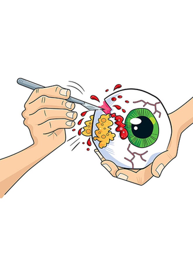Gross Science Eye Ball Dissection Kit