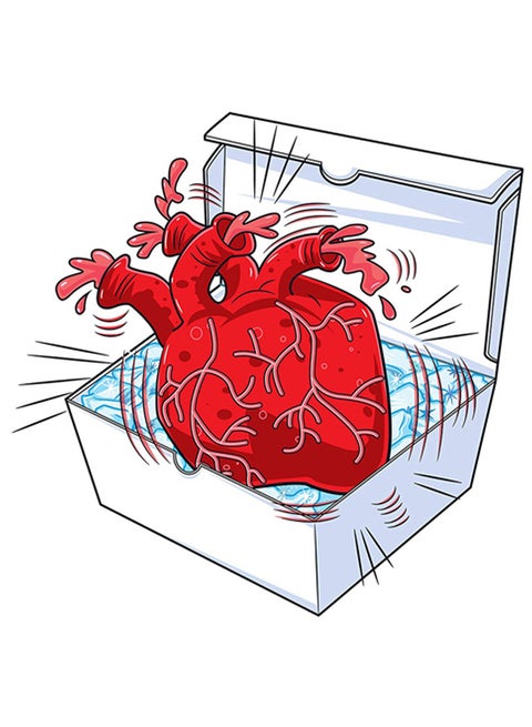 Gross Science Beating Heart Kit