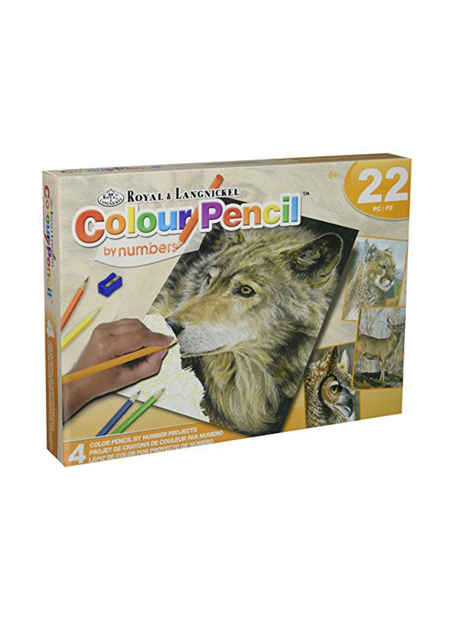 رويال طقم ألوان خشبية متعدد الألوان