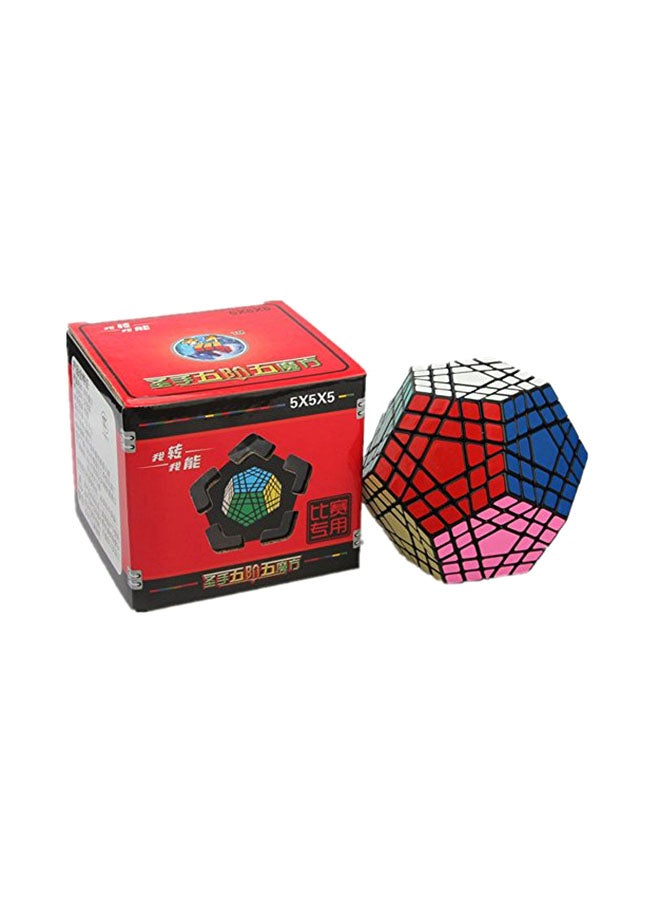 CuberSpeed Shengshou Gigaminx Black Magic Cube - Image 4