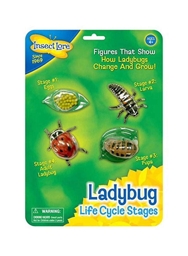 إنسيكت لور مجسمات دورة حياة الدعسوقة من 4 قطع - Image 1