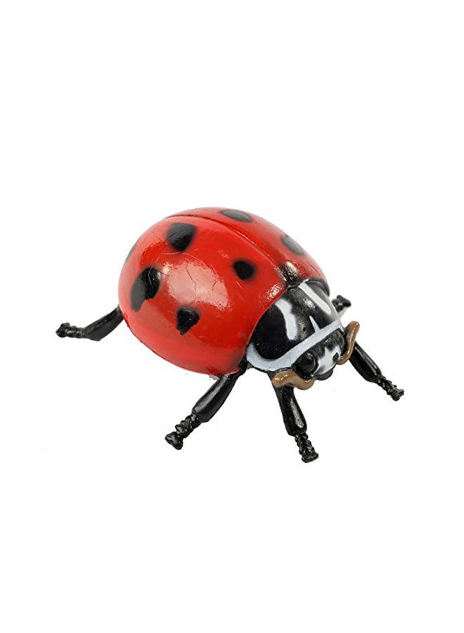 إنسيكت لور مجسمات دورة حياة الدعسوقة من 4 قطع - Image 2