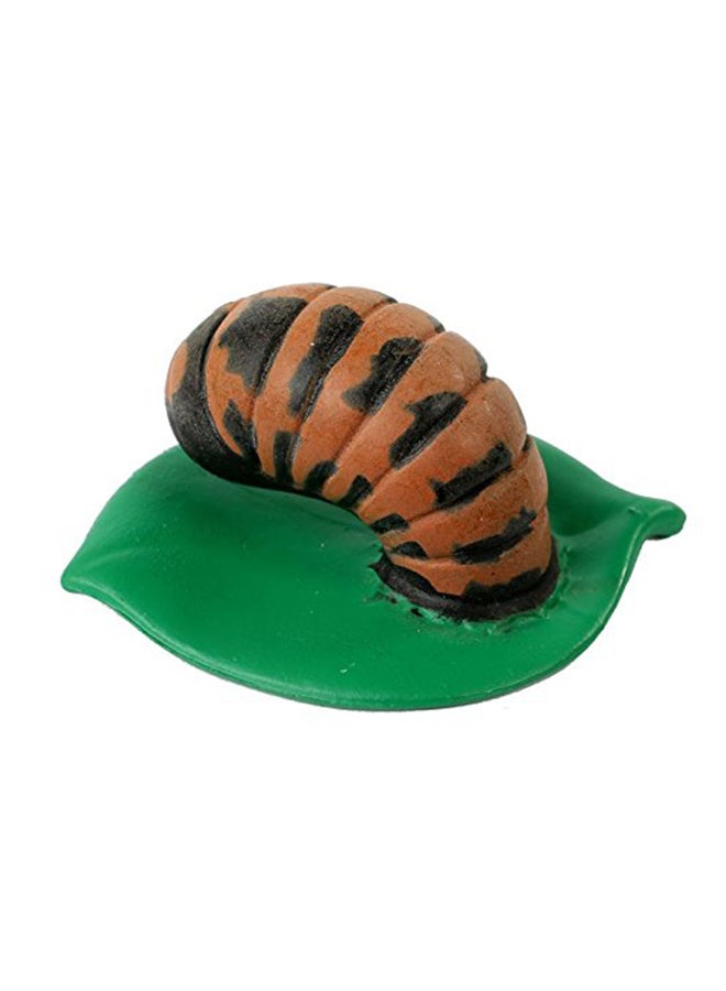 إنسيكت لور مجسمات دورة حياة الدعسوقة من 4 قطع - Image 4