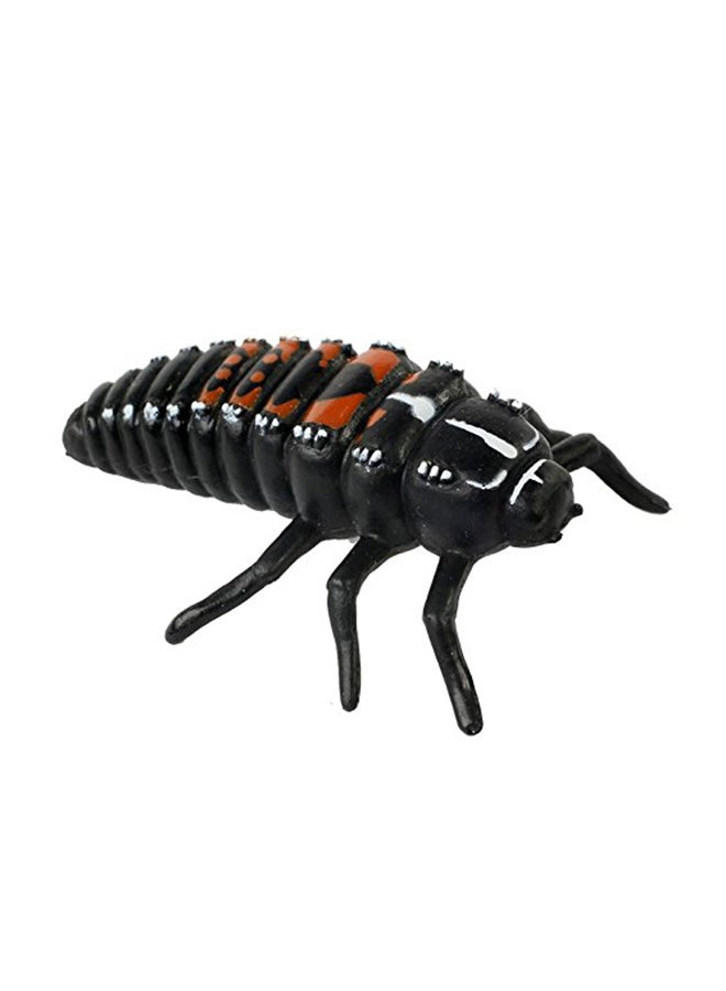 إنسيكت لور مجسمات دورة حياة الدعسوقة من 4 قطع - Image 3