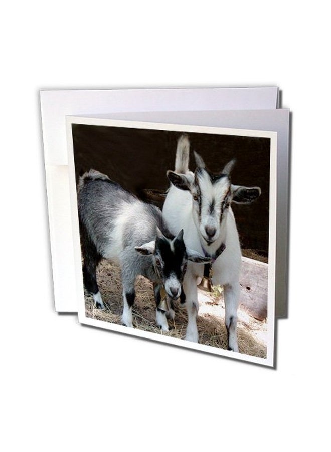 6-Piece Printed Greeting Card Set - v1552316001/N21845272A_1