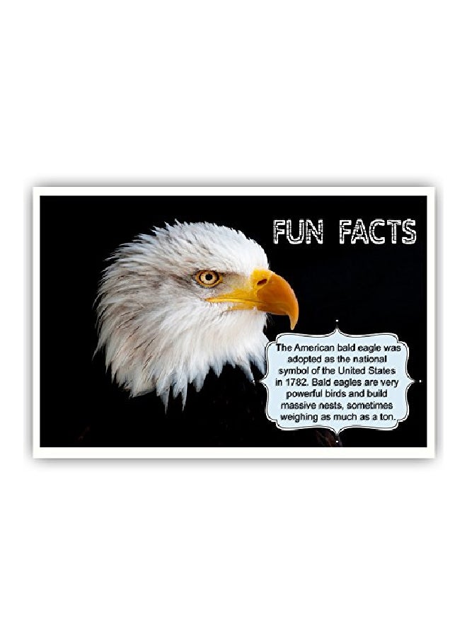 بوست كارد فير طقم بطاقات بريدية أمريكانا مطبوع عليه عبارة "Fun Facts" من 20 قطعة  - Image 3