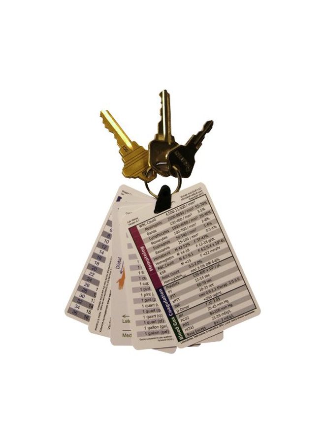 Scrubs and Stuff LLC 5-Piece Pocket And Reference Card Badge Keychain Multicolour  - Image 3