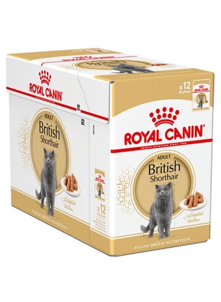 Pack Of 12 FBN British Shorthair Brown 1020grams - v1552470156/N22081308A_1