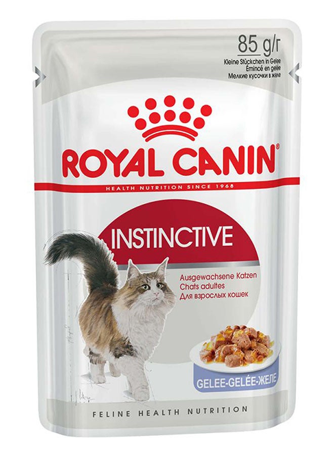 رويال كانين حزمة من 12 عبوة طعام إنستينكتيف في الجيلي 1020جرام - Image 1