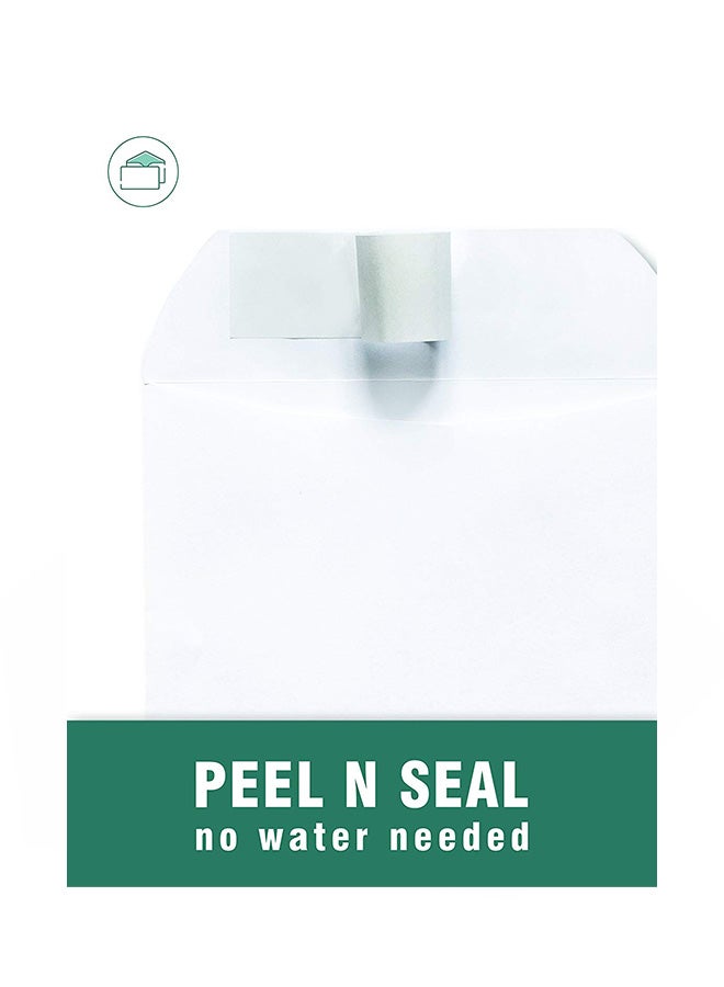 EnDoc 250-Piece Self Seal Catlog Envelope - Image 3
