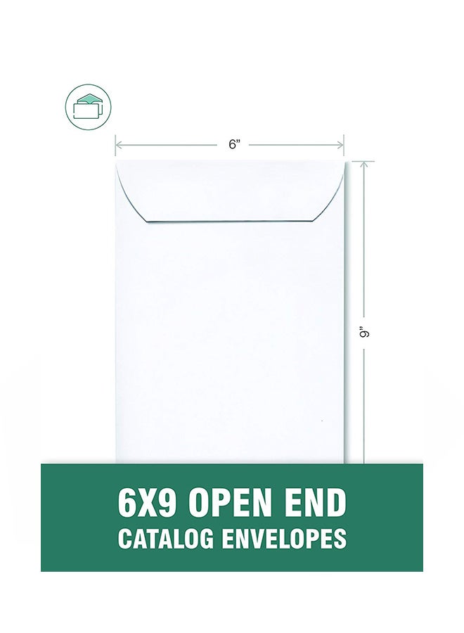 EnDoc 250-Piece Self Seal Catlog Envelope - Image 2