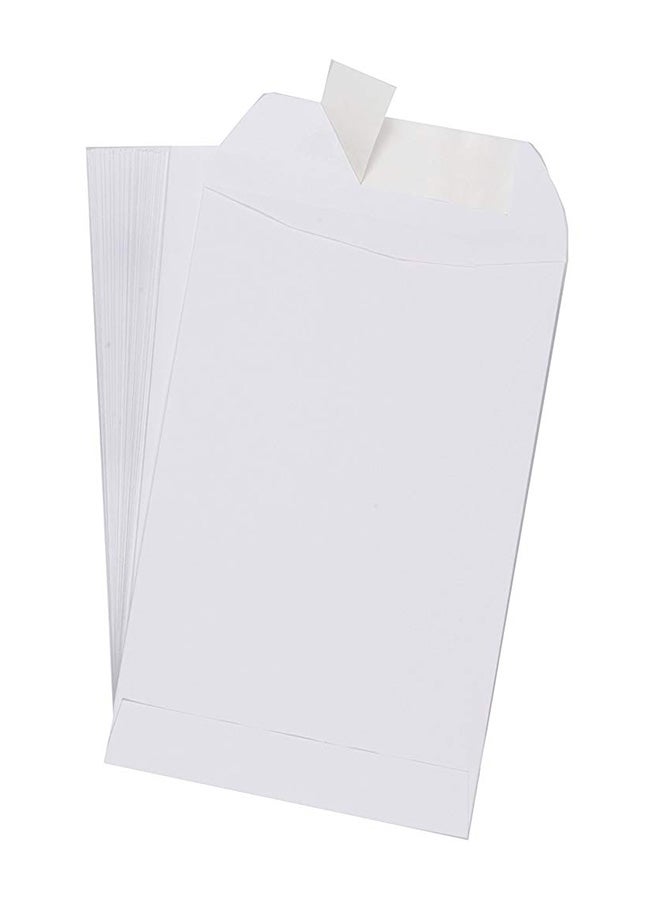 EnDoc 250-Piece Self Seal Catlog Envelope - Image 1