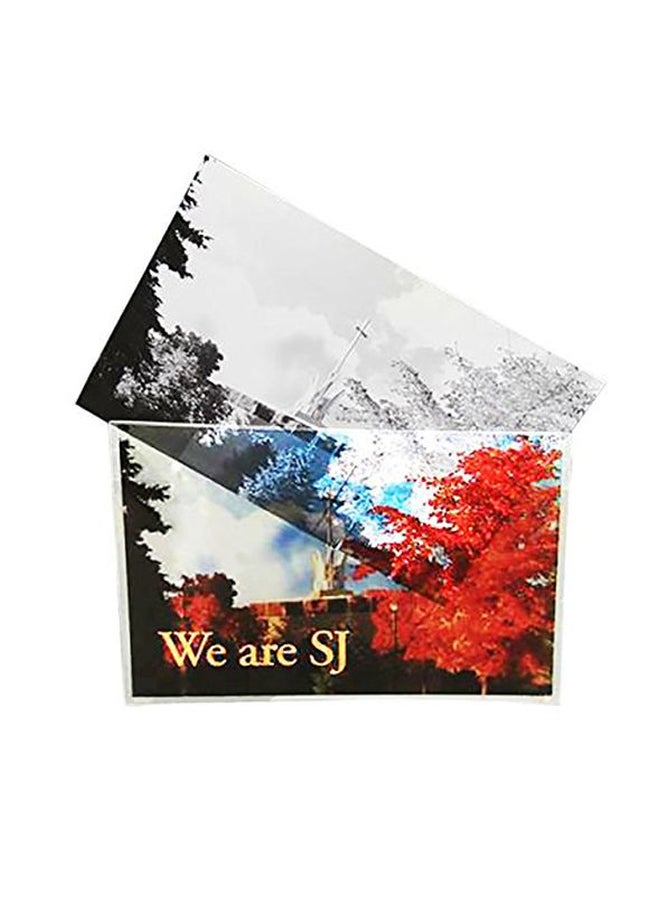EnvyPak 100-Piece Postcard Photo Sleeves Clear - Image 3