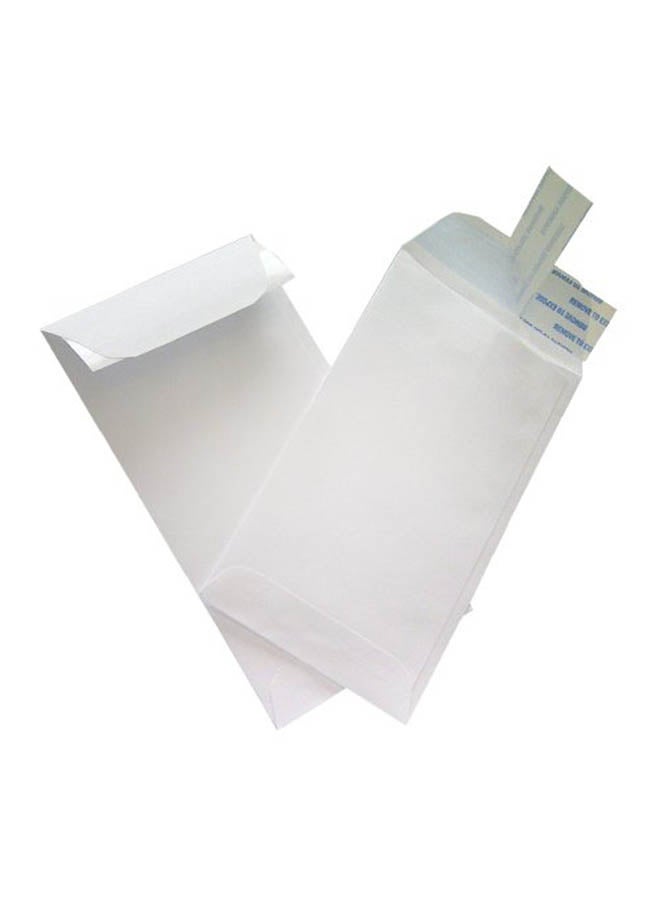 Next Day Labels - 100-Piece Heavyweight Coin And Small Part Envelope - Image 1