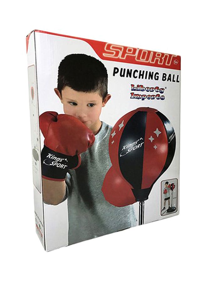 King Sport Punching Ball