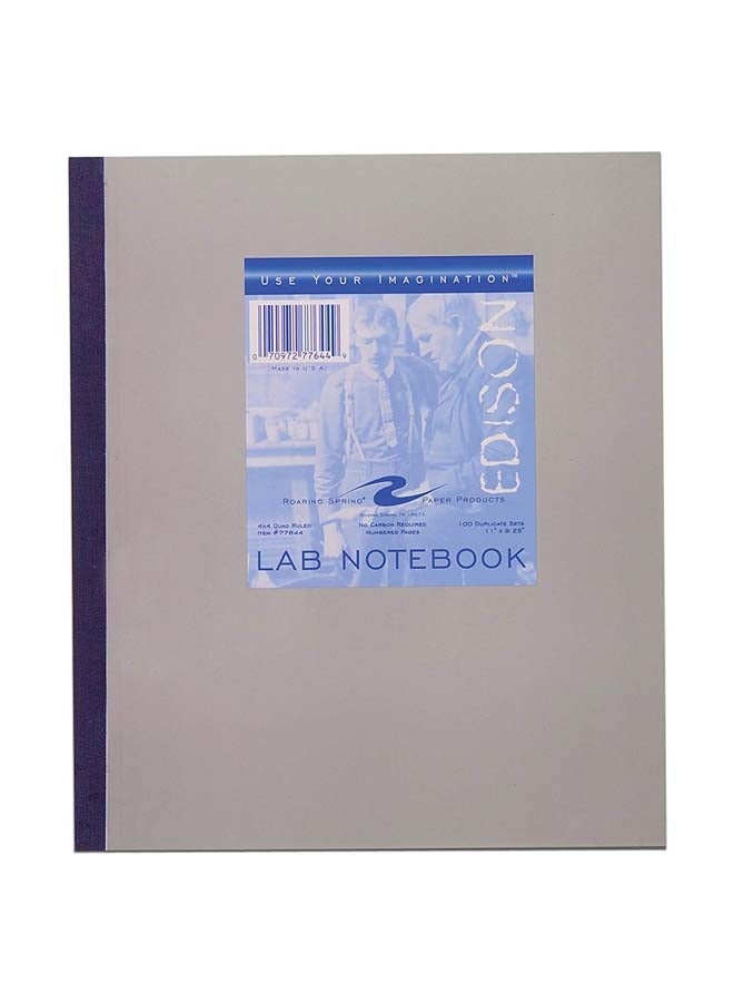 رورينج سبرينج دفتر ملاحظات مختبر مصنوع من ورق غير كربوني مكون من 100 ورقة مزدوجة رمادي - Image 1