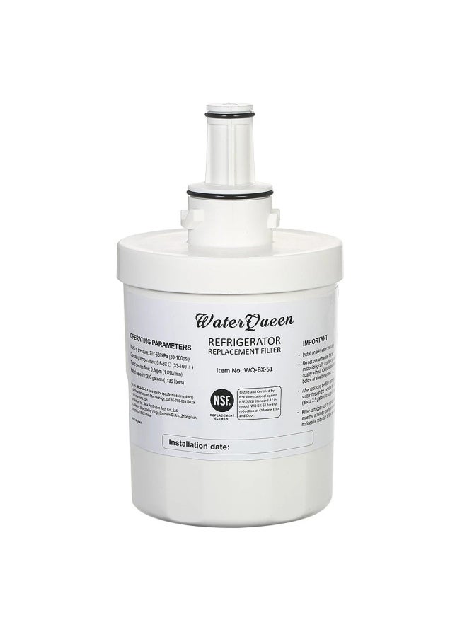 Water Queen - Water Filter Replacement For Samsung Refrigerator H21080 - Image 1