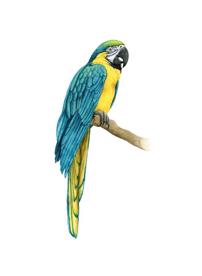 Teal Macaw I Poster Multicolour
