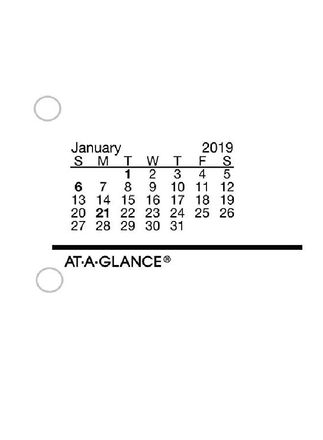 AT-A-GLANCE - 2019 Daily Desk Pocket Size Calendar Refill White/Red - Image 1