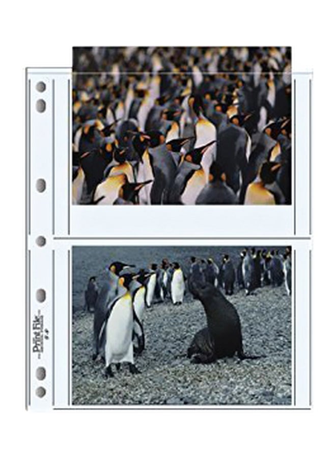 Print File 25-Piece Photo Holder Clear 