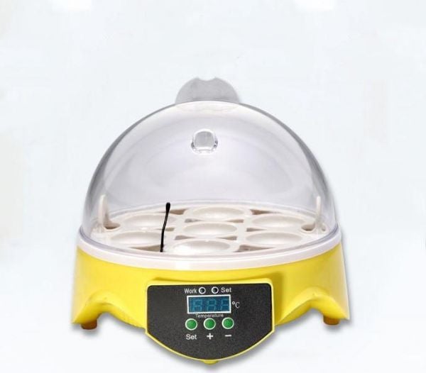 Generic 7-Piece Egg Hatchery Incubator Clear/Yellow/White  - Image 5