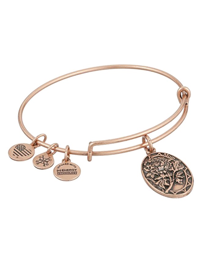 ALEX AND ANI Expandable Charm Bracelet 