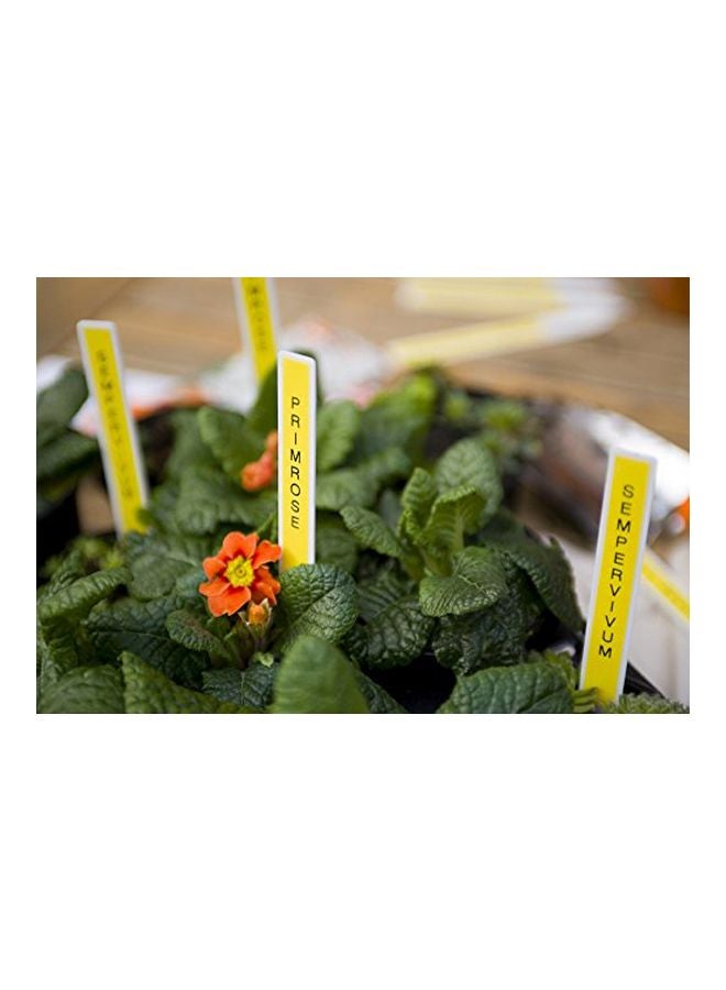 brother Home And Office Labeler Grey/Silver - Image 4