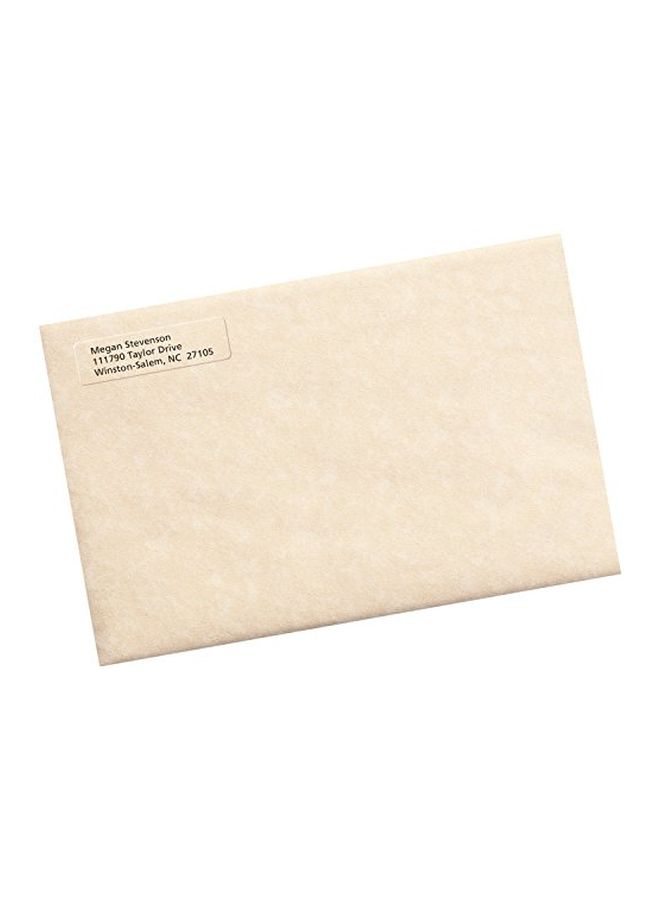 AVERY 800-Piece Frosted Return Address Labels For Laser Printers Clear - Image 4