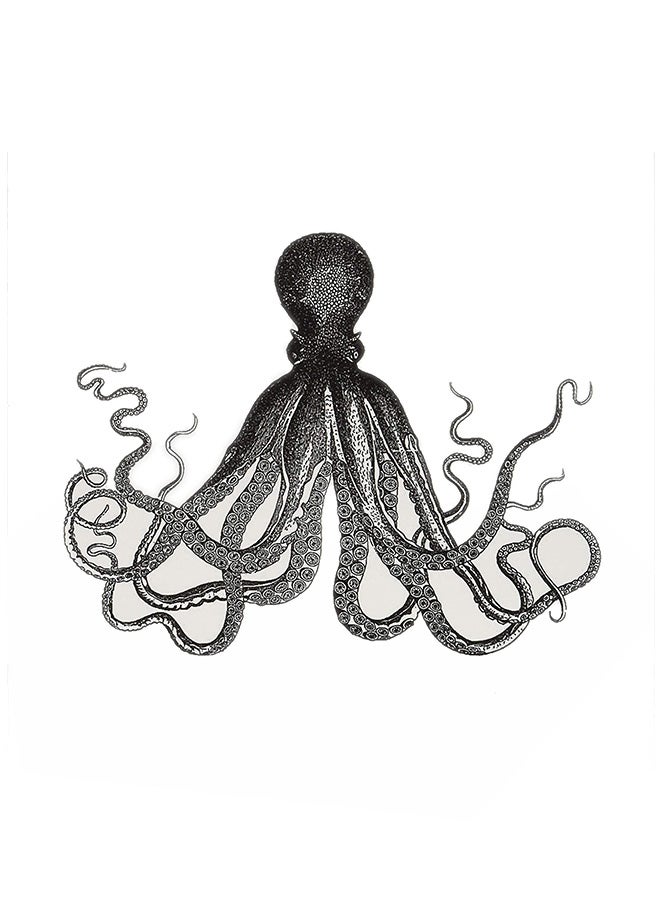 3Dروز حزمة مكونة من 6 بطاقات تهنئة بنمط حبار عملاق من عالم البحار - Image 1