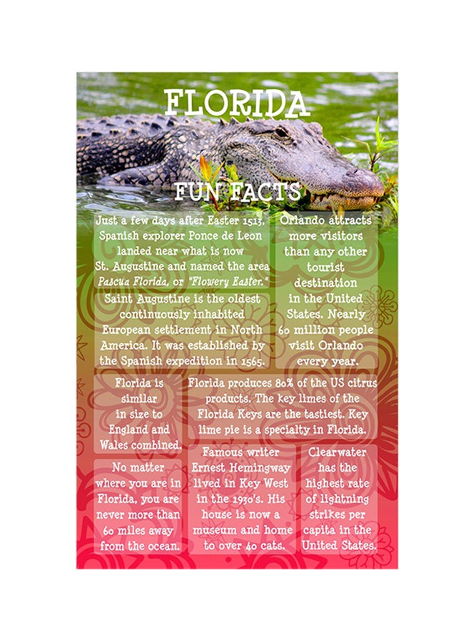 Set Of 20 Florida Fun Facts Postcard - v1552934204/N21897613A_1