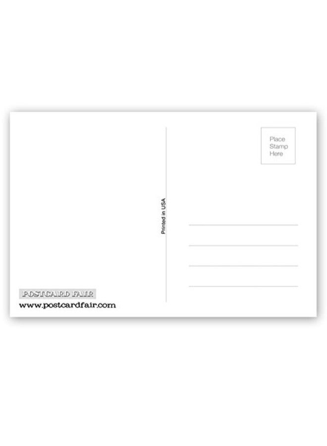 Postcard Fair Set Of 20 Alabama State Facts Postcard - Image 2