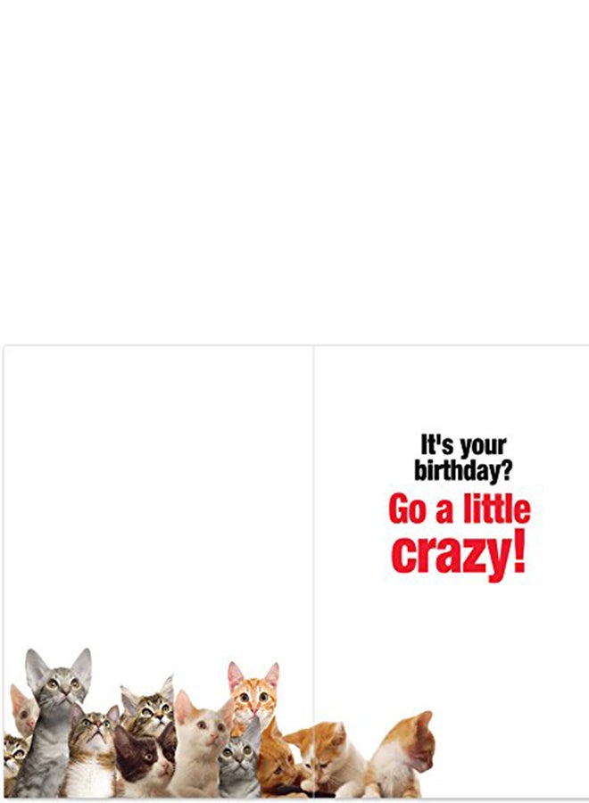 NobleWorks Cat Lady Starter Kit Funny Greeting Card - Image 2