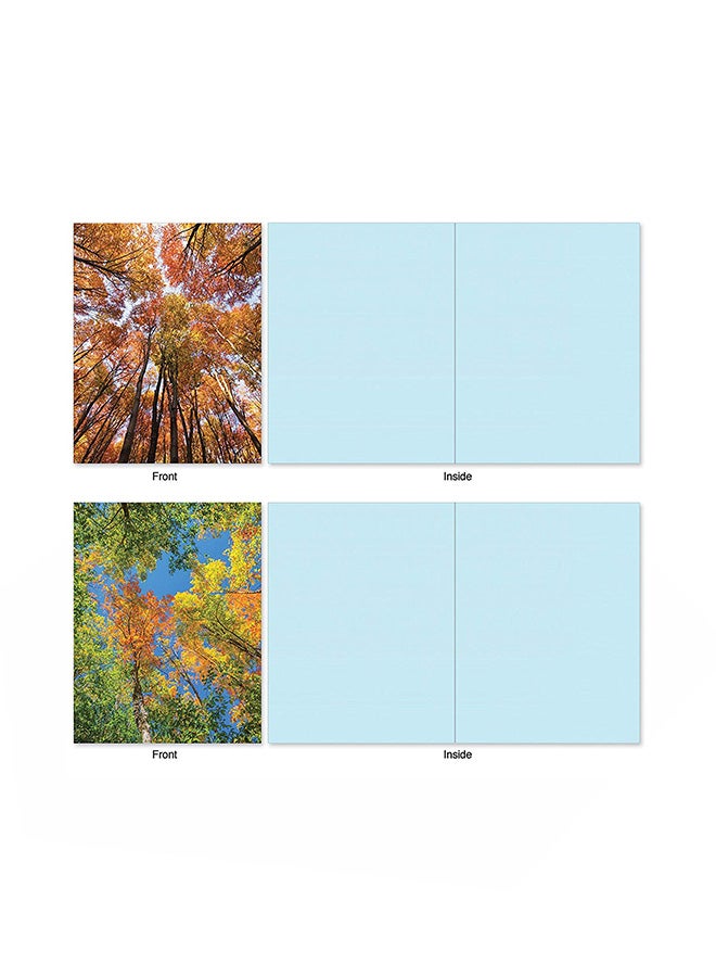 Pack Of 10 All Occasion Greeting Card - v1552934387/N21898103A_2