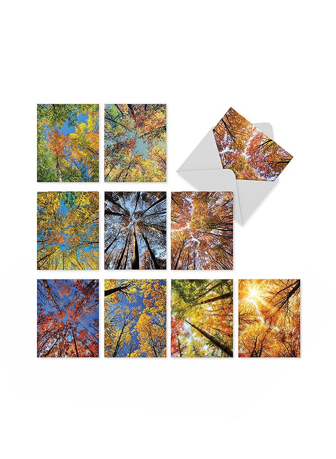 Pack Of 10 All Occasion Greeting Card - v1552934388/N21898103A_1